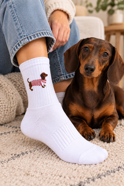 Dackel Pink Socken in Weiß, getragen neben einem echten Dackel auf dem Teppich